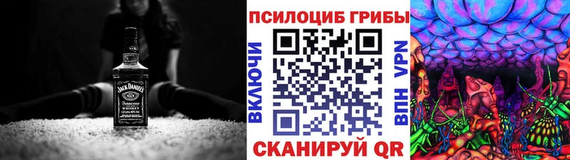 Псилоцибиновые грибы Psilocybe  Трёхгорный 